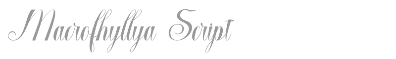 Macrofhyllya Script